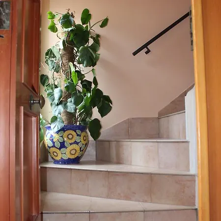 Bed & Breakfast Reginella 2*