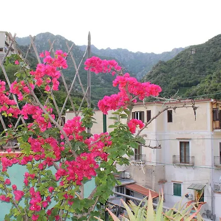 Bed & Breakfast Reginella Cetara